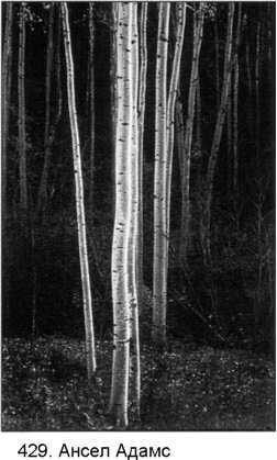 Фотография как... _224.jpg