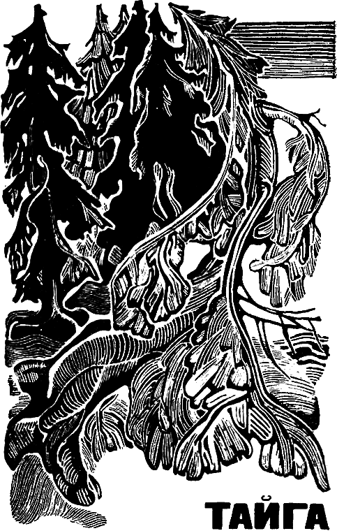 Три аксиомы i_023.png