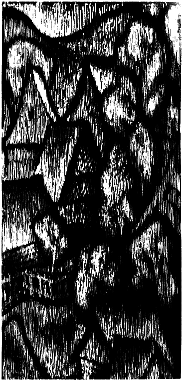 Три аксиомы i_033.png