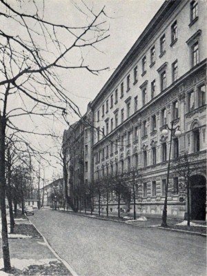 Шаляпин в Петербурге-Петрограде _51.jpg