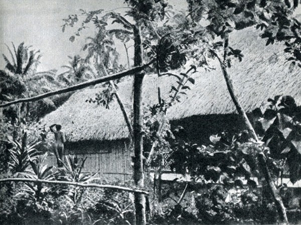 Гоген в Полинезии _54.jpg
