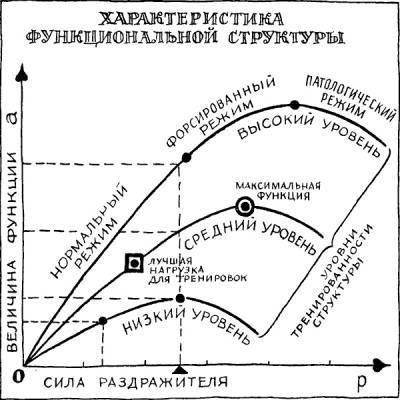 Раздумья о здоровье _3.jpg