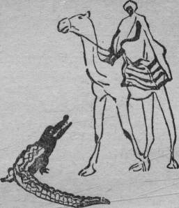 Сказки народов Африки _19.jpg