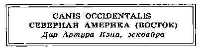 i_005.png