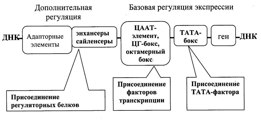Биологическая химия _5.jpg
