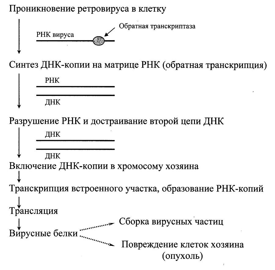 Биологическая химия _6.jpg