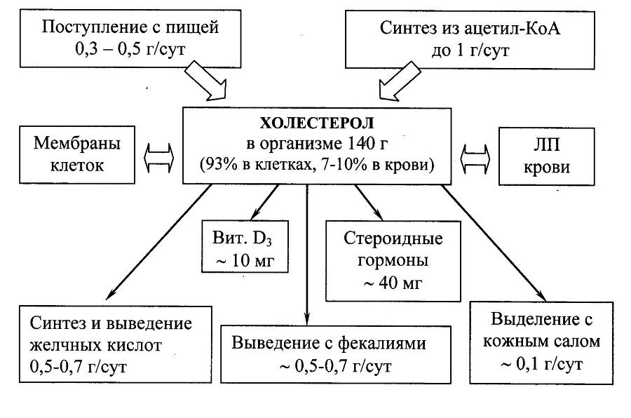 Биологическая химия _24.jpg