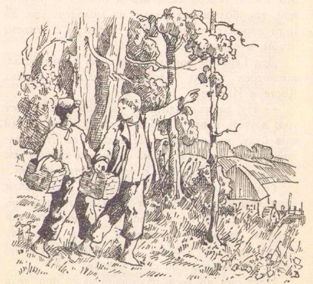 По зверю и птице _11.jpg