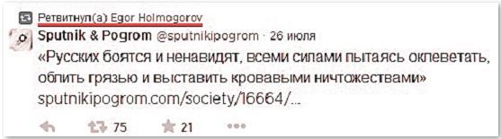 Стрелков и другие. Анатомия одного стратегического конфликта i_028.jpg