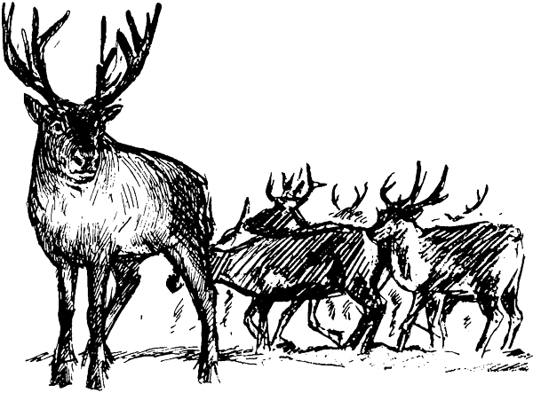Бажоный i_008.png