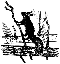 Бажоный i_012.png
