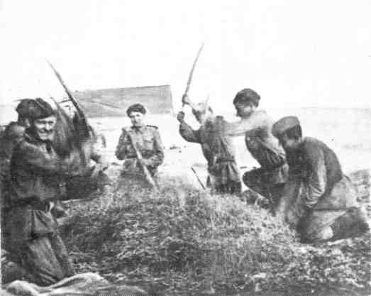 Караван счастья img_10.jpeg