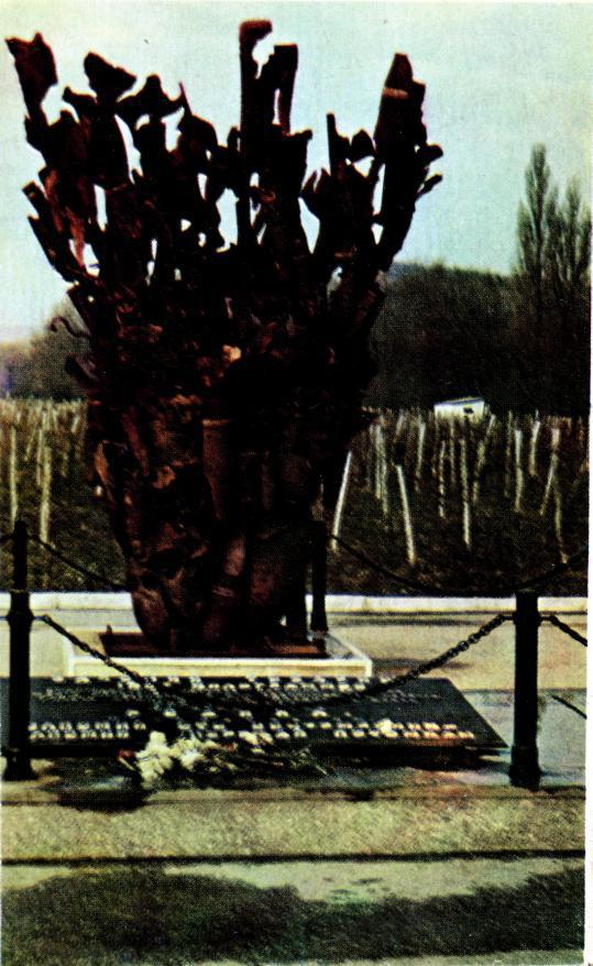 Караван счастья img_16.jpeg