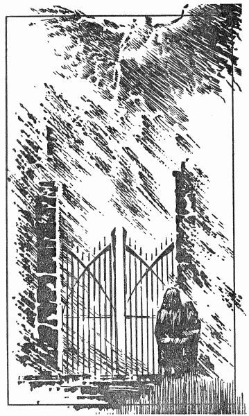 Племя тьмы (авторский сборник) i_017.jpg