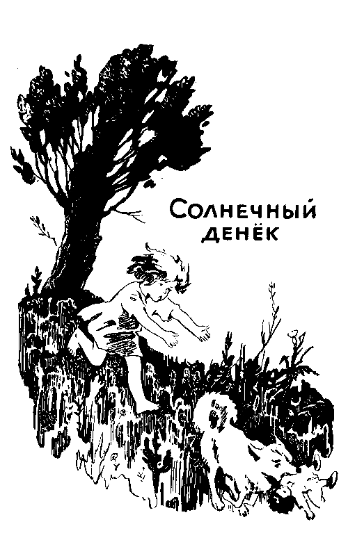 Волшебный берег (сборник) pic_4.png
