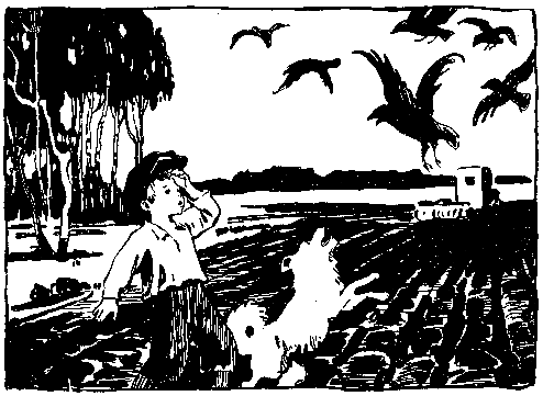 Волшебный берег (сборник) pic_17.png