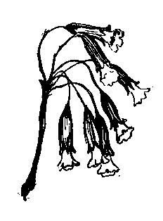 Волшебный берег (сборник) pic_20.png