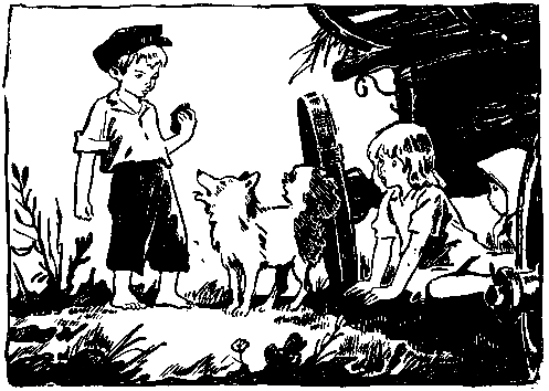 Волшебный берег (сборник) pic_21.png