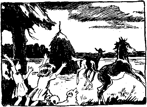Волшебный берег (сборник) pic_23.png