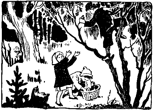 Волшебный берег (сборник) pic_27.png