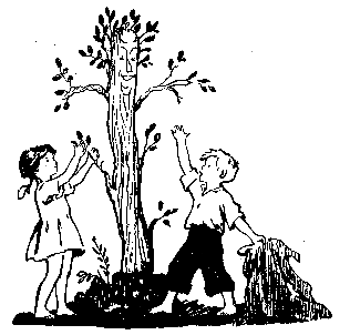 Волшебный берег (сборник) pic_39.png