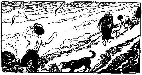Волшебный берег (сборник) pic_42.png