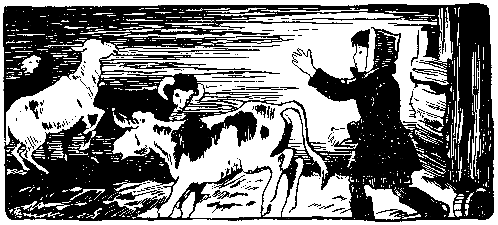 Волшебный берег (сборник) pic_56.png