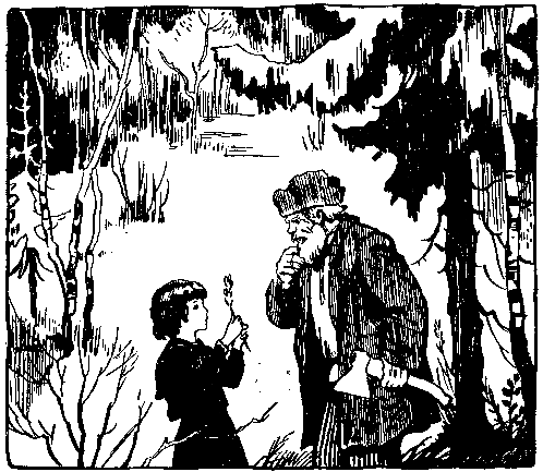 Волшебный берег (сборник) pic_61.png