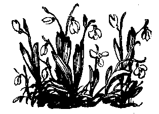 Волшебный берег (сборник) pic_62.png