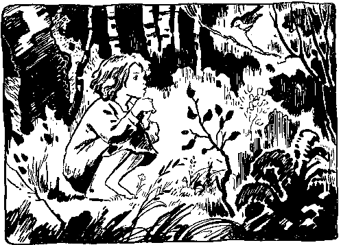 Волшебный берег (сборник) pic_64.png