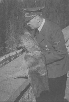 Вторая мировая. 1939–1945. История великой войны i_025.jpg