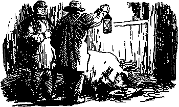 Бедный Ослик и жирная Свинья pic179.png
