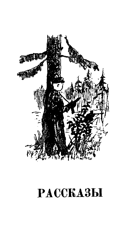 Повести и рассказы pic_12.png