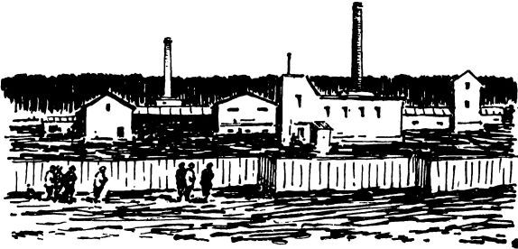 Марьина роща i_009.jpg