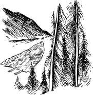 i_015.jpg