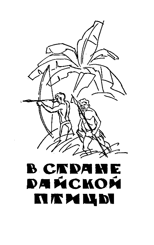 Сын воды. В стране райской птицы. Амок pic_11.png