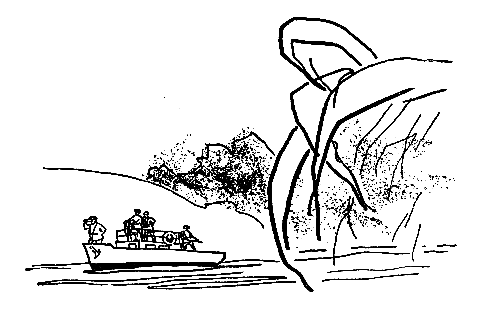 Сын воды. В стране райской птицы. Амок pic_12.png