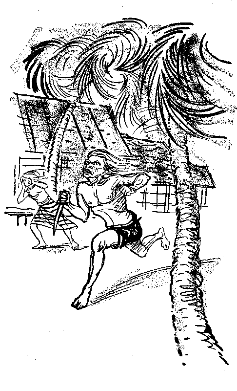 Сын воды. В стране райской птицы. Амок pic_22.png