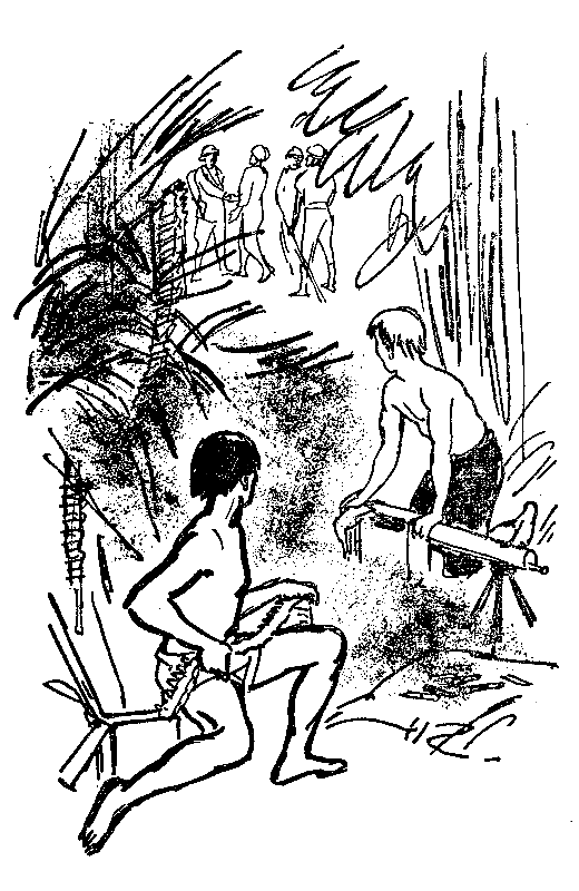 Сын воды. В стране райской птицы. Амок pic_24.png