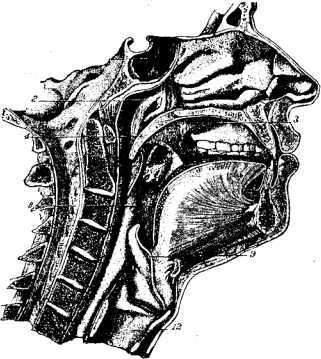 i_021.jpg