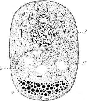 i_004.jpg
