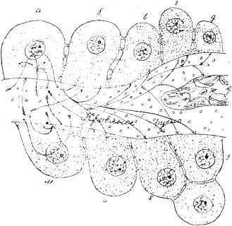 i_008.jpg