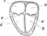 i_009.jpg