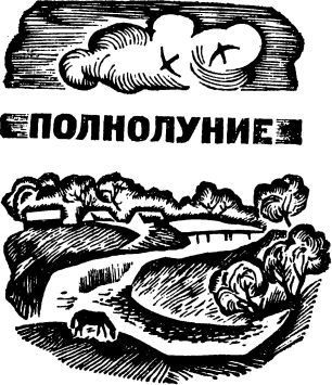 Полнолуние i_003.jpg
