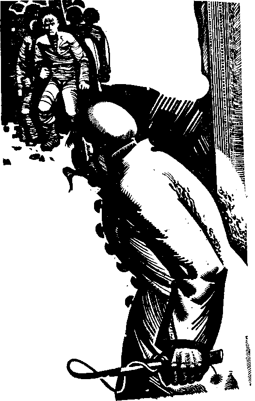 Искры гнева (сборник) i_006.png