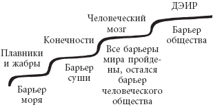 Зрелость. Система навыков Дальнейшего ЭнергоИнформационного Развития  _19.png