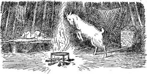 Алтайские сказки (с илл.) i_054.jpg