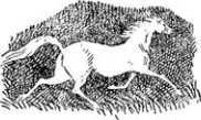 Алтайские сказки (с илл.) i_017.jpg