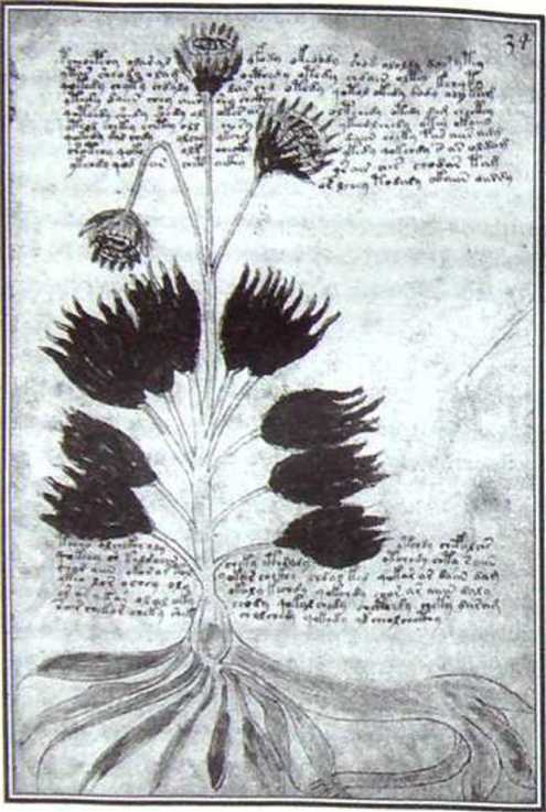 Великие тайны и загадки истории image66.jpg