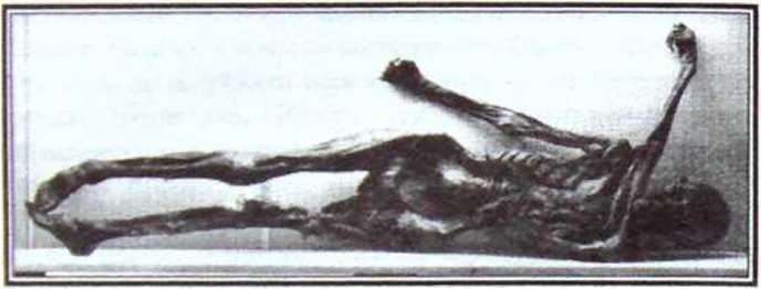 Великие тайны и загадки истории image74.jpg
